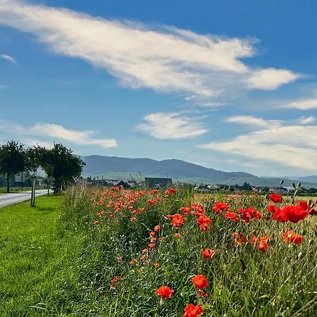 아파트 Le Des Vignes 엥기쉬하임