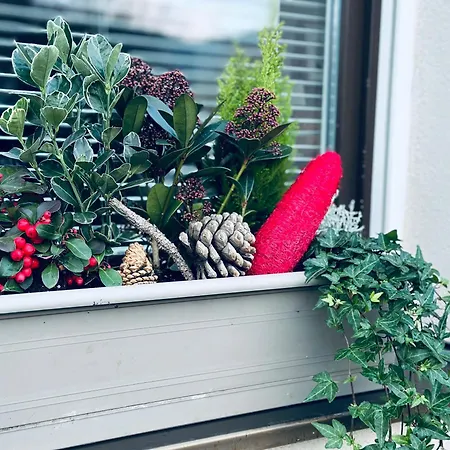 Avec Parking Eguisheim